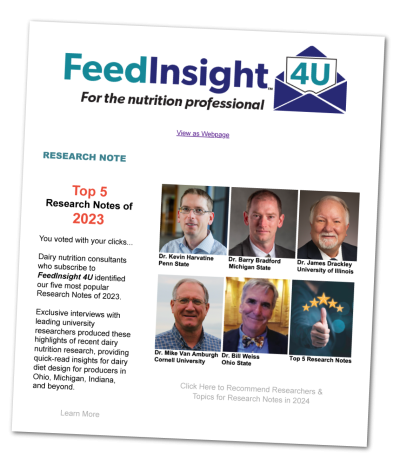 feed insight 4u newsletter january with shadow